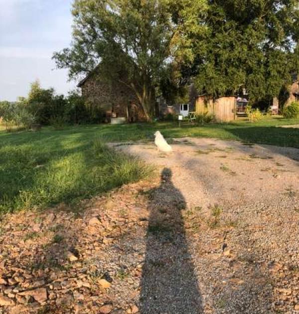 Hoofdfoto Camping A la ferme la Brouillerie