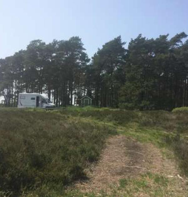 Hoofdfoto Ljungskogen