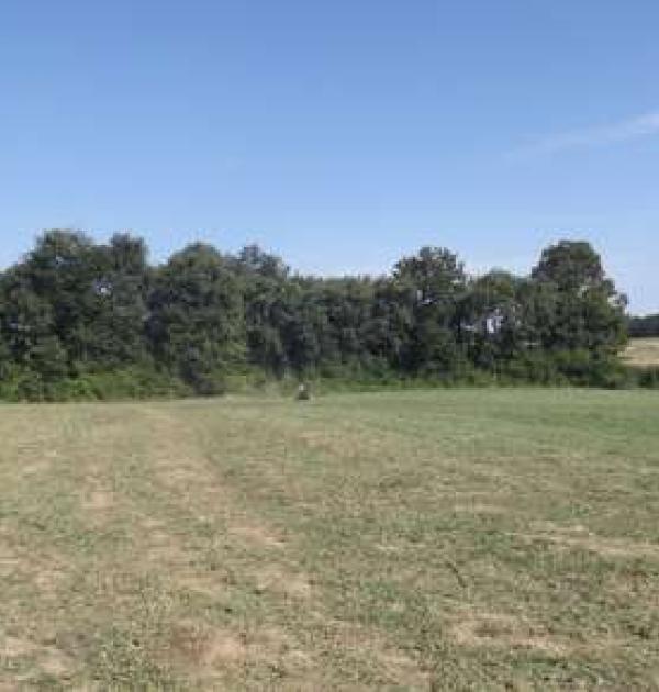 Hoofdfoto Countrycamp - JB