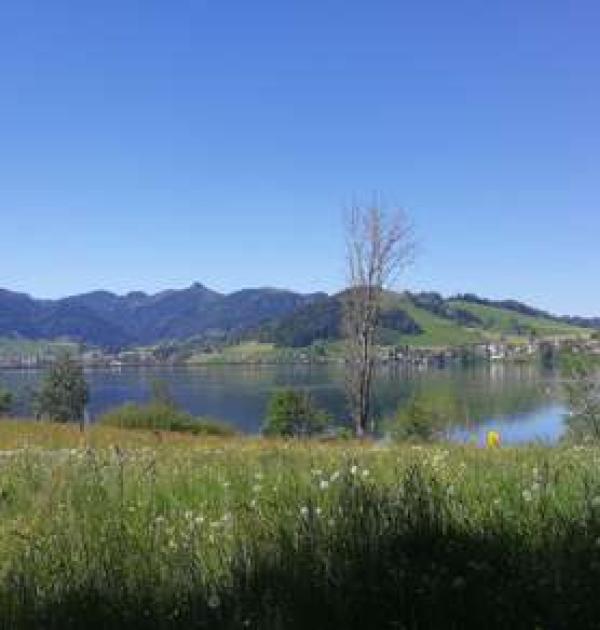 Hoofdfoto Camping Gruene Aff