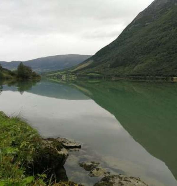 Hoofdfoto Gåsemyr Camping