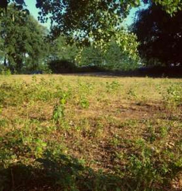 Hoofdfoto Camperplaats Rust en Stilte