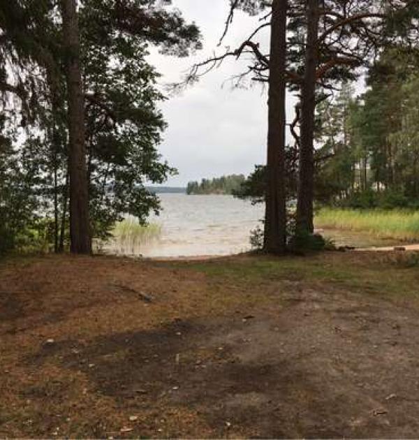 Hoofdfoto Strandsågen
