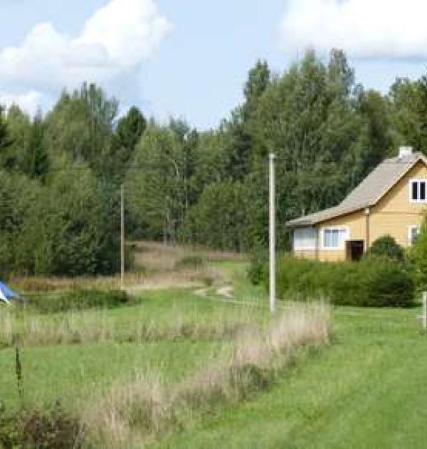 Hoofdfoto Palsi talu