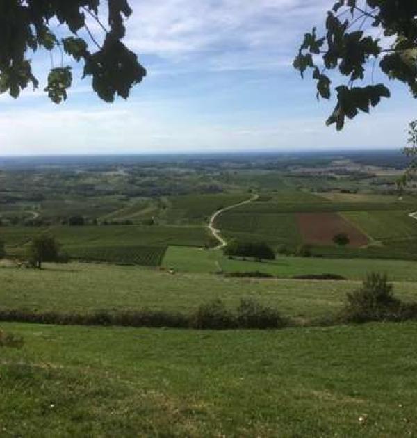 Hoofdfoto Le Vignoble de Pupillin