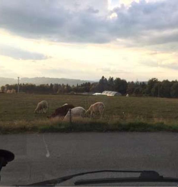 Hoofdfoto Parking Neuschönau