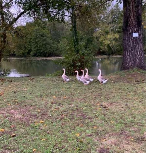 Hoofdfoto Marsac-sur-l’ile
