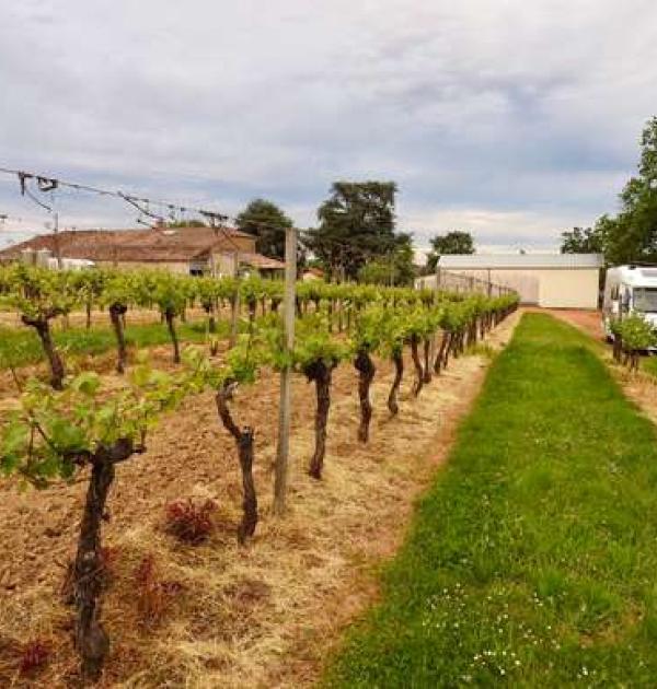 Hoofdfoto Aire de Camping Car Château Haut Pradot
