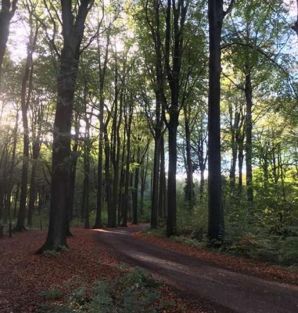 Hoofdfoto Site Naturel du Moron