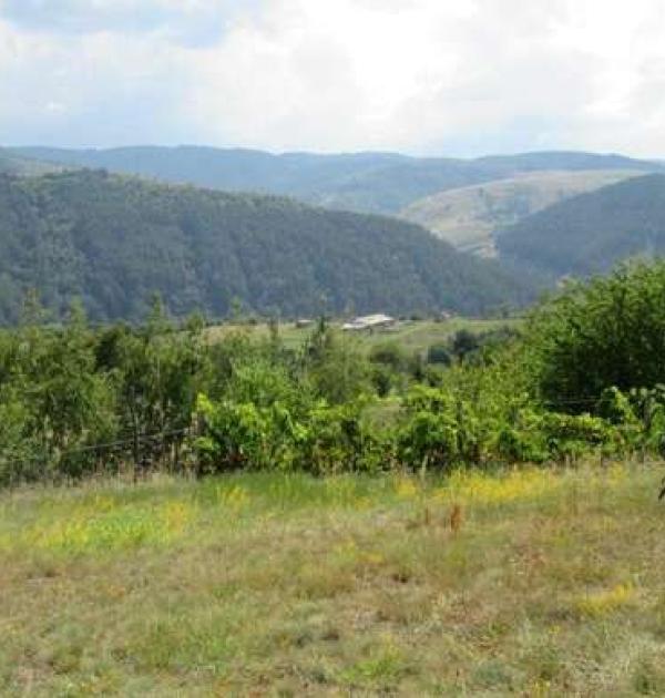 Hoofdfoto Eco Komplex Klisura