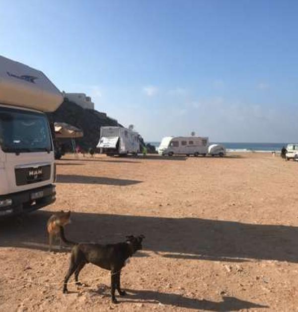 Hoofdfoto Camperplaats Mirleft