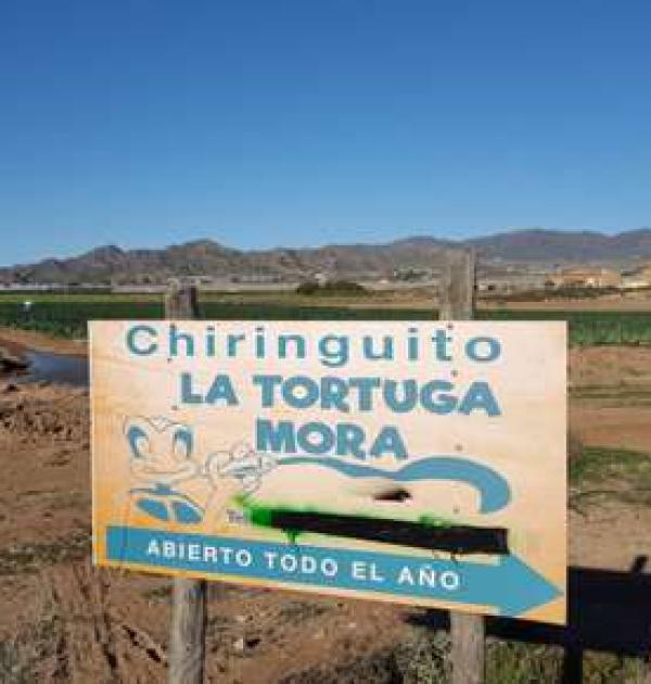 Hoofdfoto Parking Tortuga Mora