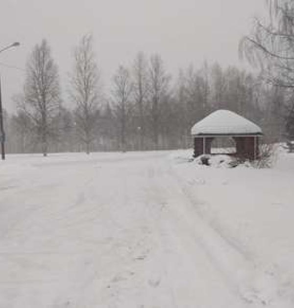 Hoofdfoto Parking Lieksan Nurmijärven Laavu