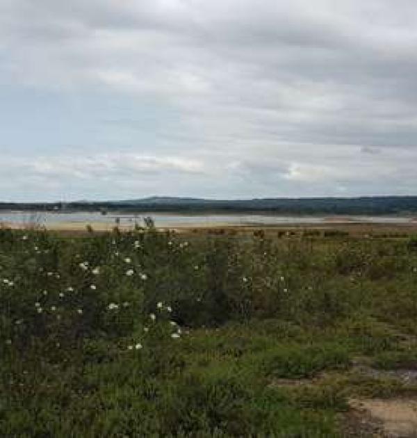 Hoofdfoto Barragem de Morgavel