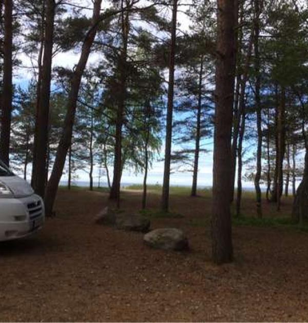 Hoofdfoto Parking Im Kiefernwald