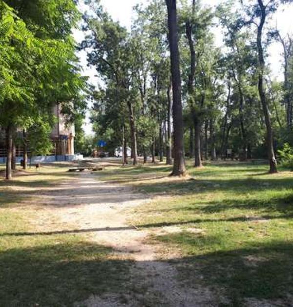 Hoofdfoto Parcului Natural Lunca Muresului