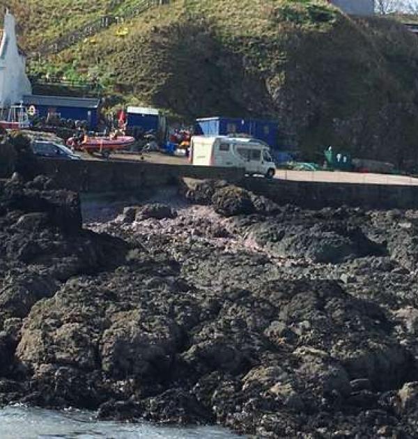 Hoofdfoto Parking St Abbs Harbour