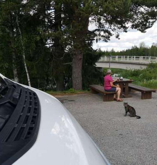 Hoofdfoto Männikön Silta