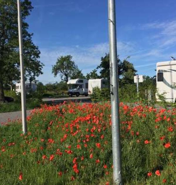 Hoofdfoto Wohnmobilstellplatz