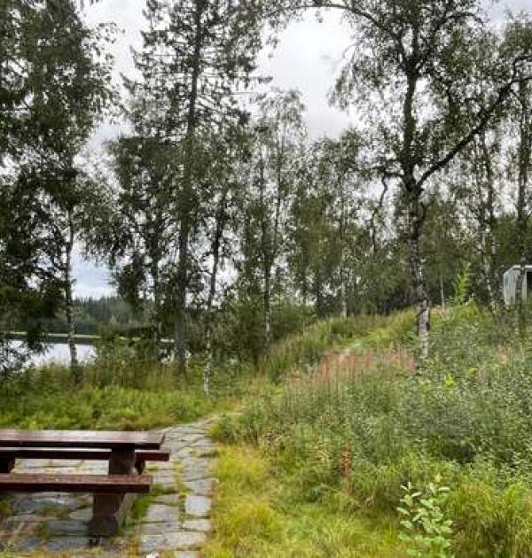 Hoofdfoto Koltjønna