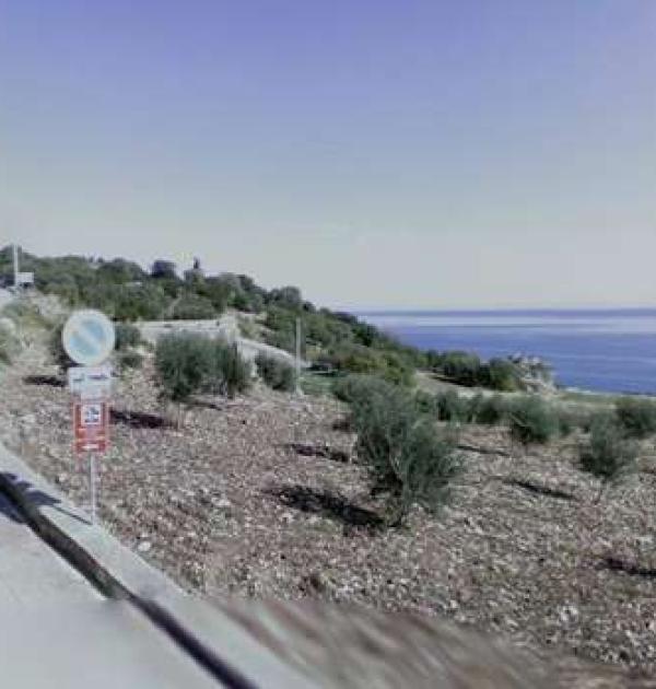 Hoofdfoto Agricampeggio Scopello