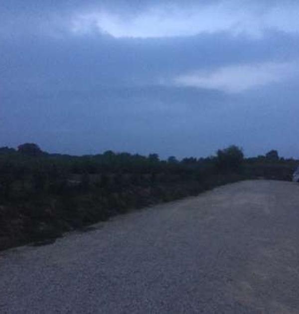 Hoofdfoto Aire "Olive Grove"