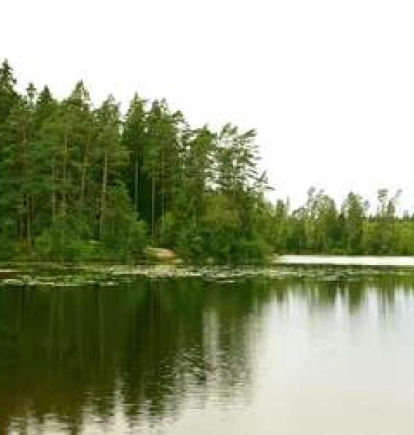 Hoofdfoto Borås