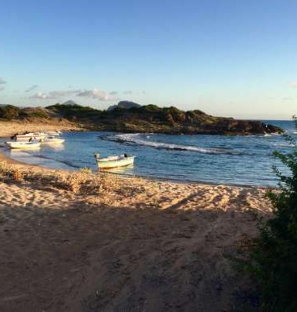 Hoofdfoto Beach