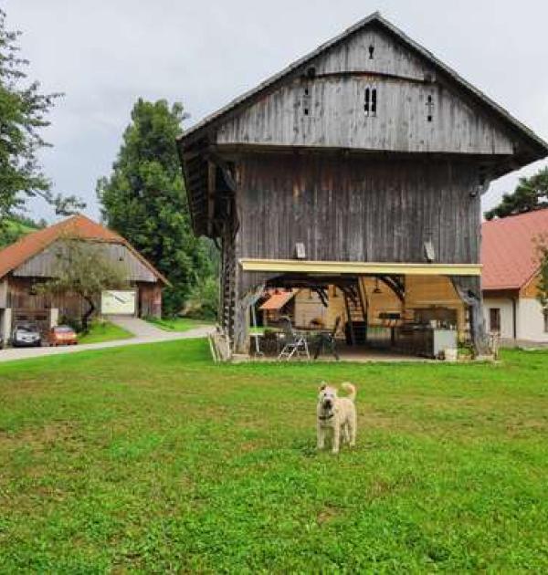 Hoofdfoto Turistfarm Lešnik