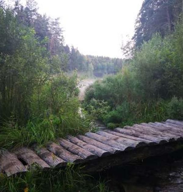 Hoofdfoto Krasnosel