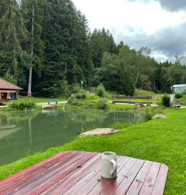 Hoofdfoto Stellplatz am Harzhütten Weiher