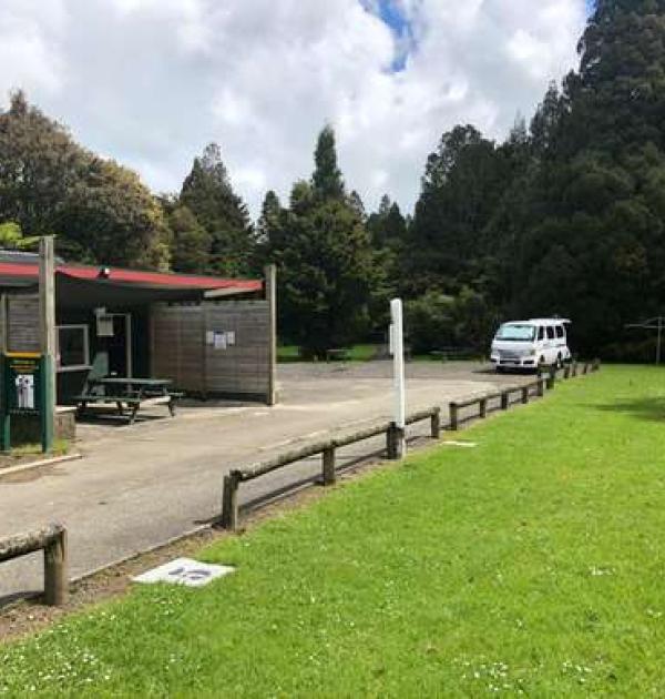 Hoofdfoto Trounson Kauri Park