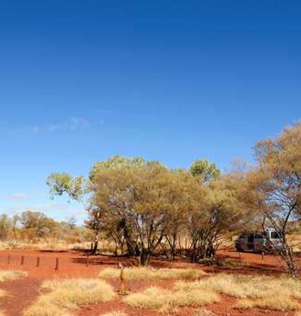 Hoofdfoto Dales George Campground