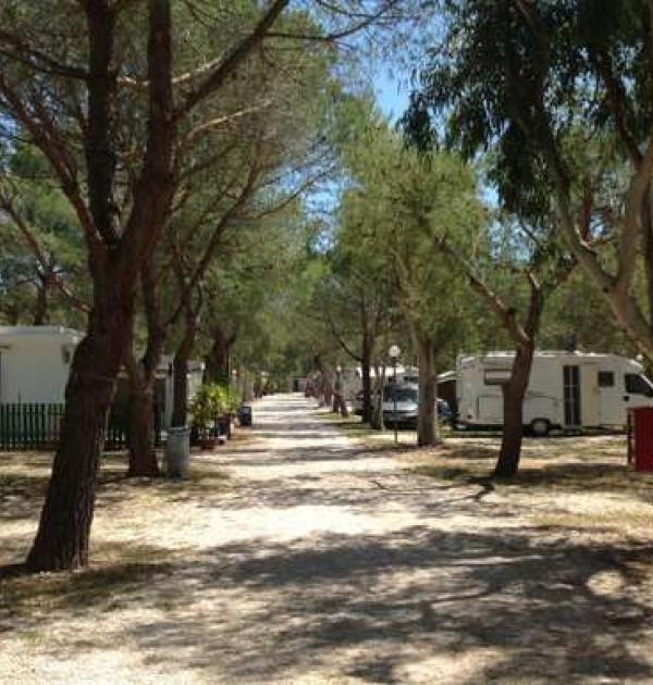 Hoofdfoto Camping Lido Salpi