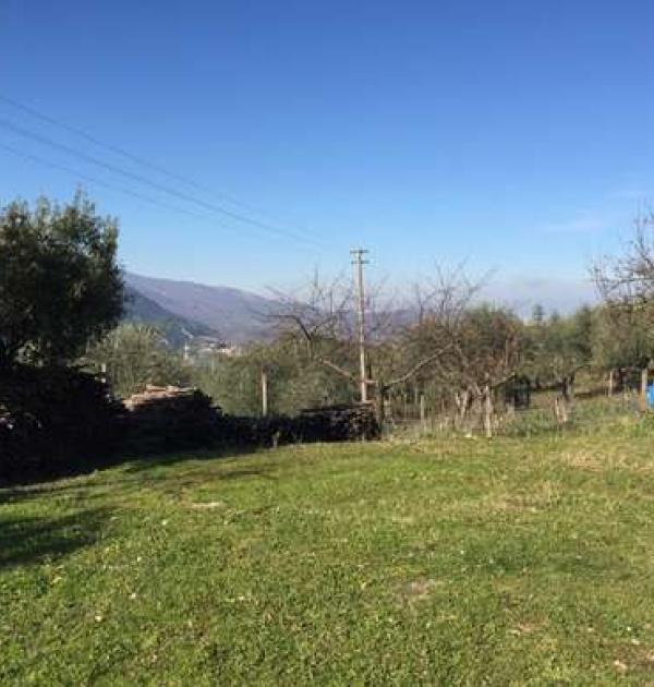 Hoofdfoto Agriturismo Ristorante Il rustico