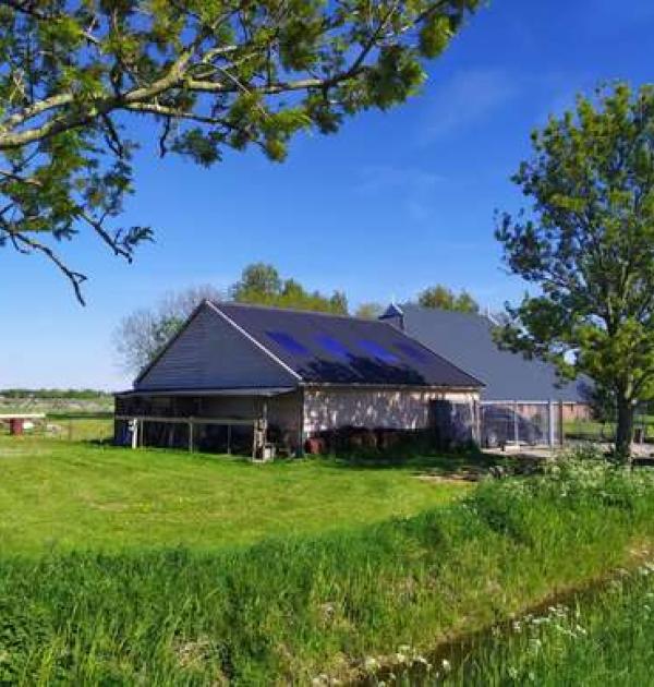 Hoofdfoto De Drie Stromen