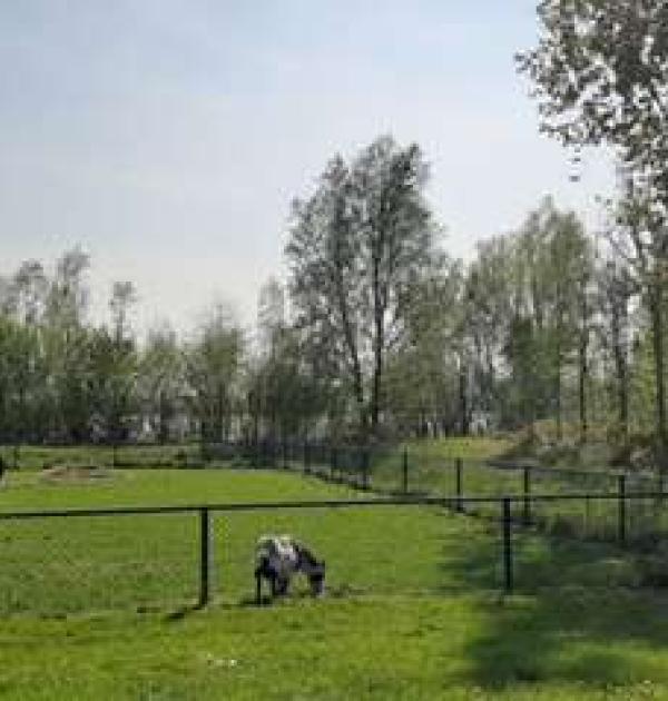 Hoofdfoto Boerderij 't Uiversnest