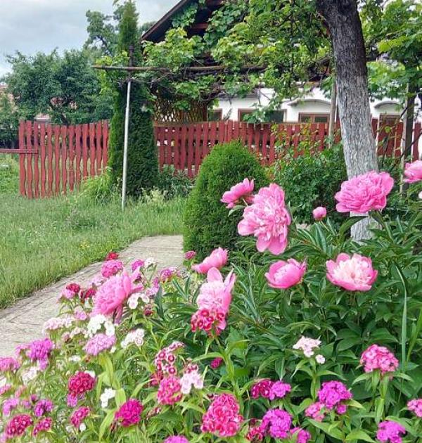 Hoofdfoto Vendel Guesthouse