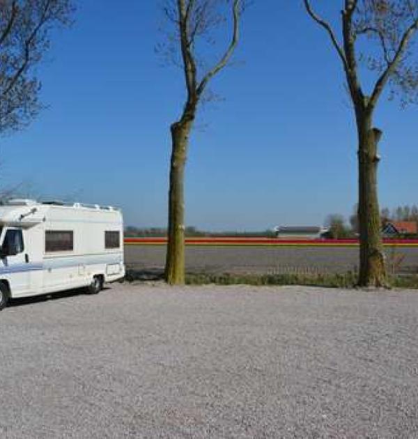 Hoofdfoto Camperplaats bij camping de Tulpenweide