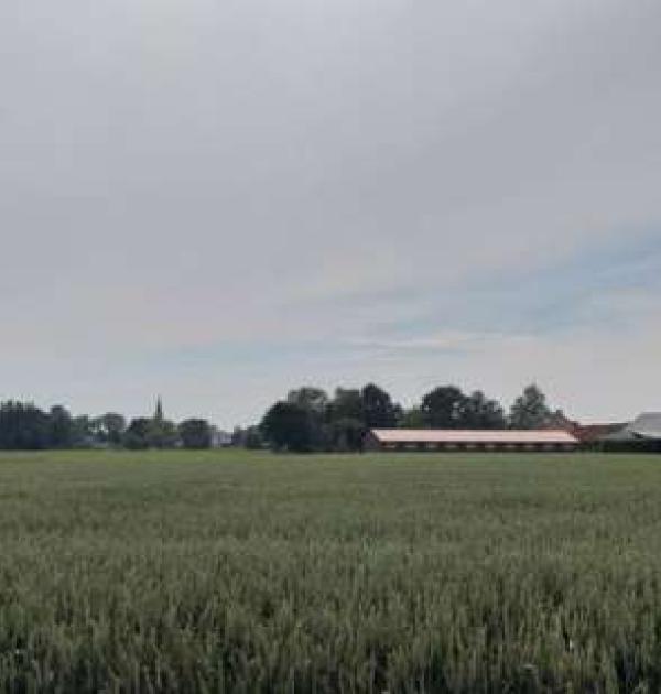 Hoofdfoto Den Boerenhof