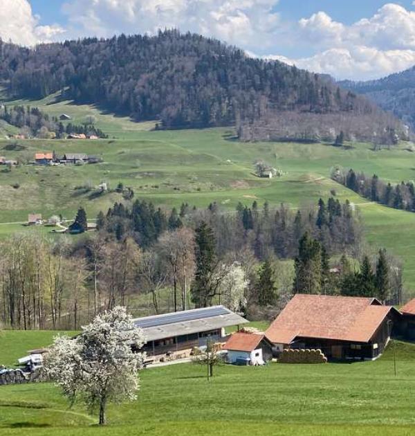 Hoofdfoto Bauernhof Uf Rüti