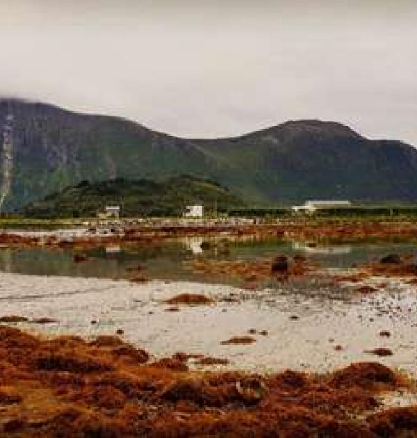 Hoofdfoto Sigerfjord Småbåthavn