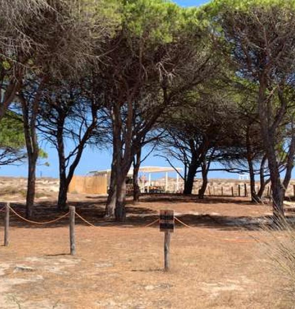 Hoofdfoto Parcheggio Spiaggia Budoni