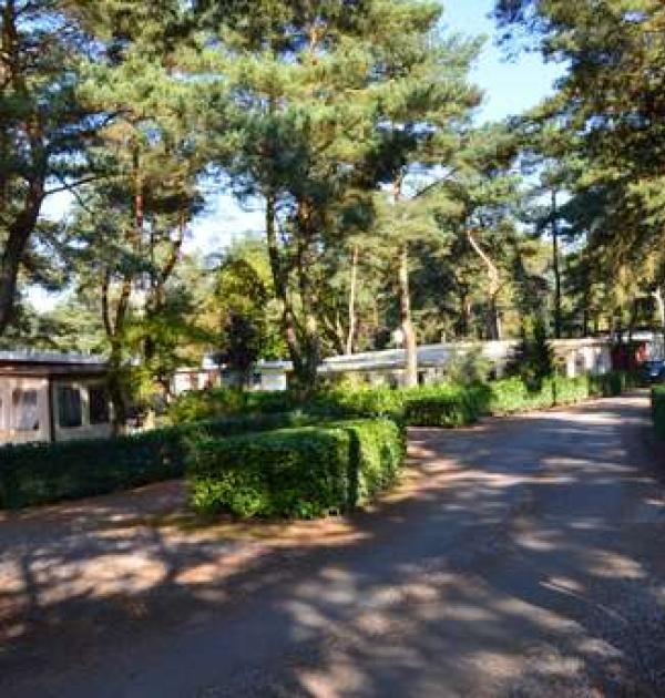 Hoofdfoto Camping G.T. Keiheuvel