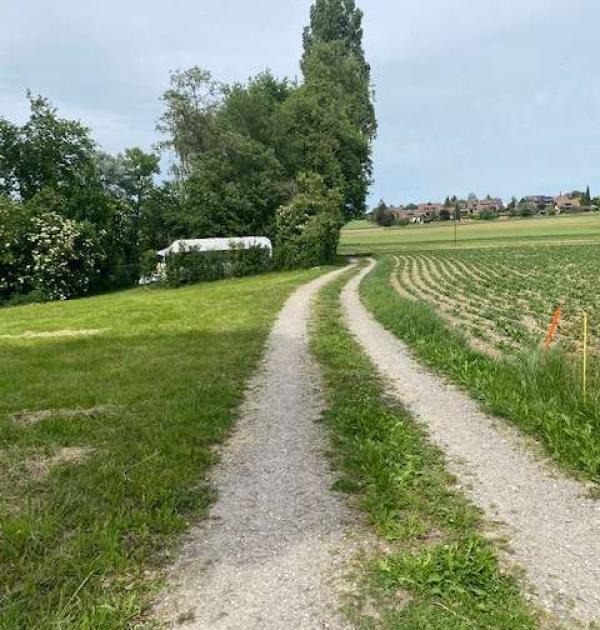 Hoofdfoto Ziegelhof, Hofladen Dinhard