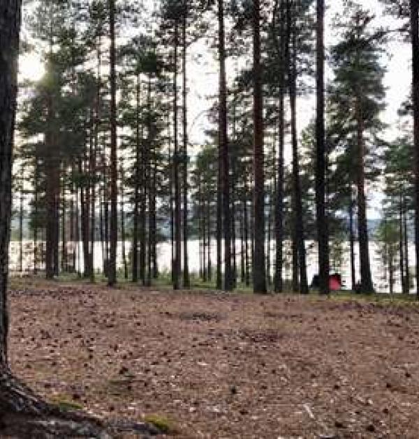Hoofdfoto Flakasand