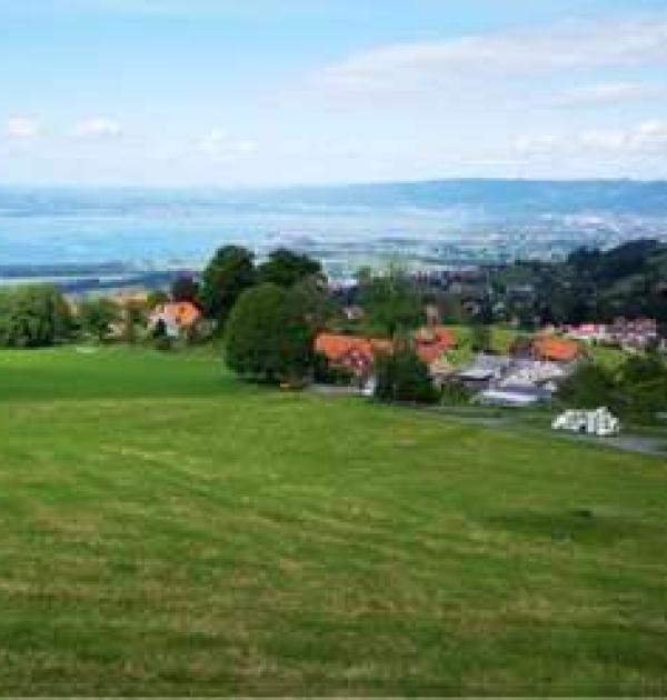 Hoofdfoto Zur Grossen Linde