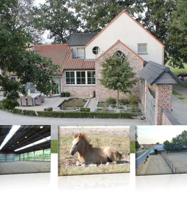 Hoofdfoto Stoeterij Het Schaef