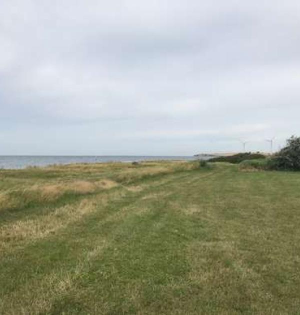 Hoofdfoto Parking Ærø