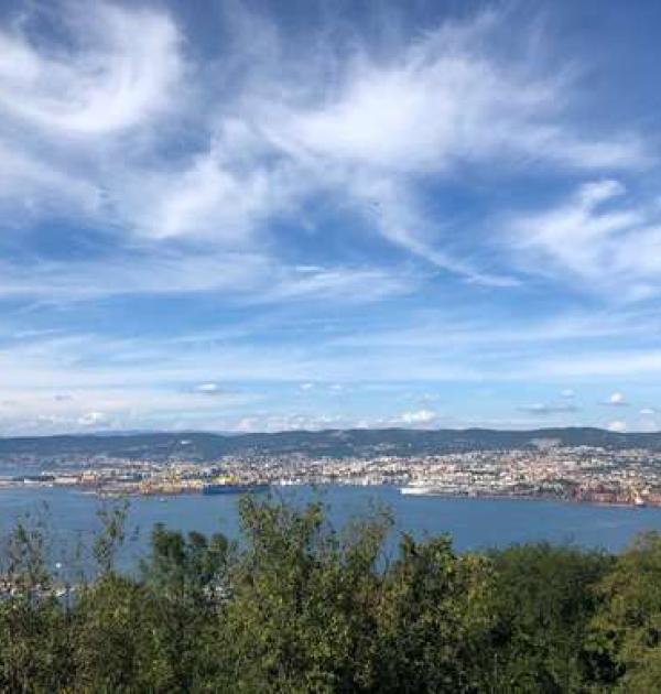 Hoofdfoto Muggia Veggia